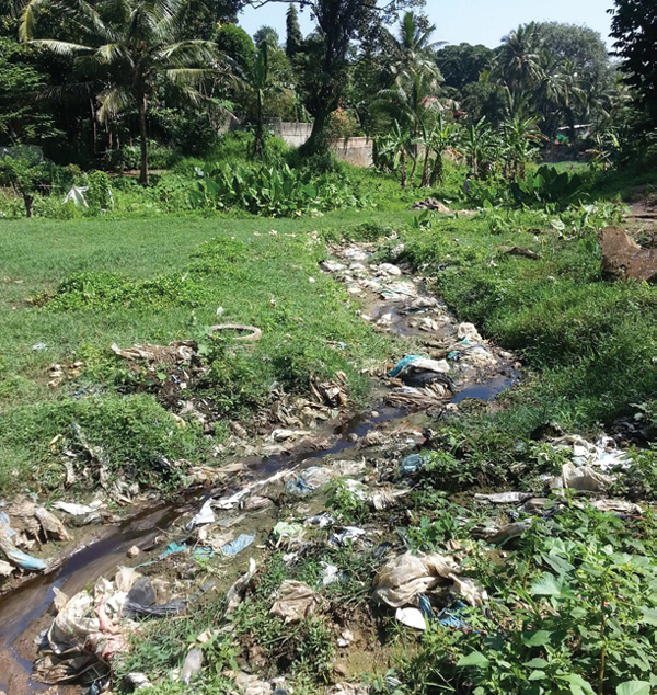A contaminated waterway in Sri Lanka